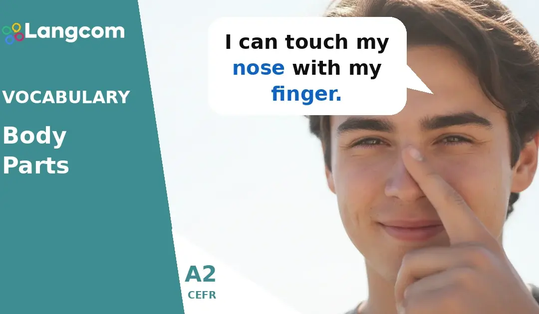 Learn Essential Body Parts in English (A2 Level)